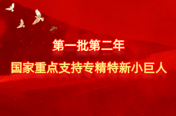 全国仅575家 | 北方龙八 long8入选第一批第二年国度沉点支持专精特新幼巨人